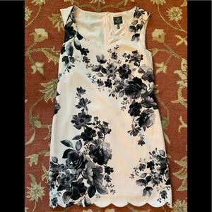Adrianna Papell dress